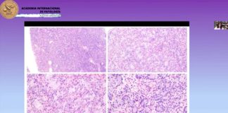 Protegido: Contenido de las Jornadas 2023