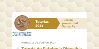 Tutoría de Patología Digestiva en Santa Fe